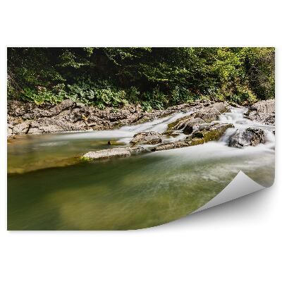 Fototapet vintage Pârâu, Râu, Pădure, Stânci, Zone Montane