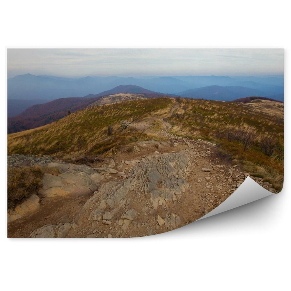 Fototapet pentru perete Calea Munților Traseu Pietre Vegetație Toamna