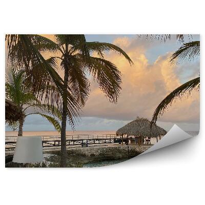 Fototapet perete Cer Înnorat Palmieri Cafenea Natură Lângă Mare