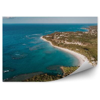 Fototapet pentru perete Păduri De Plajă Pe Malul Mării Horizon