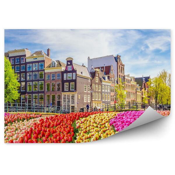 Fototapet vintage Copaci de câmp de lalele orașul Amsterdam Țările de Jos