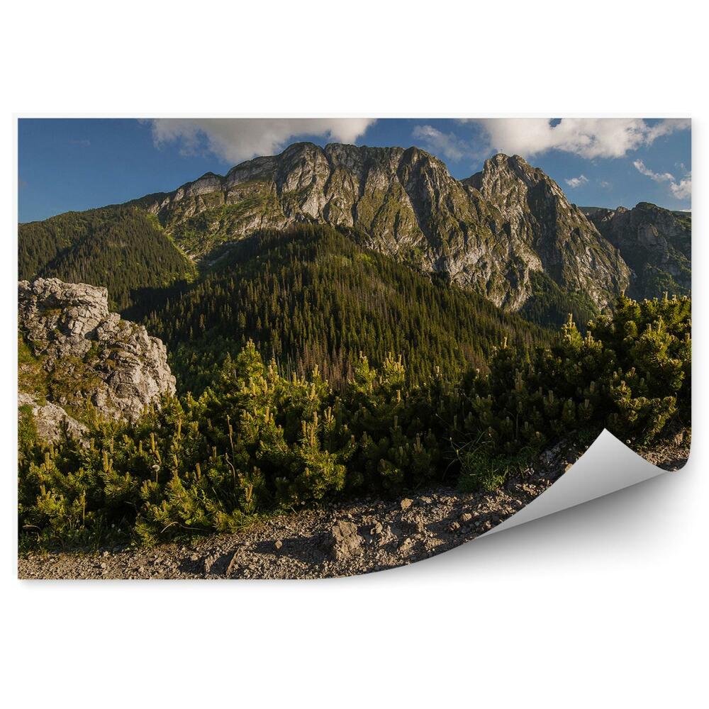 Decor fototapet Munții Giewont Tatry Copaci Conifere Stânci Cer Nori