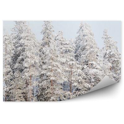 Decor fototapet Pădure De Iarnă
