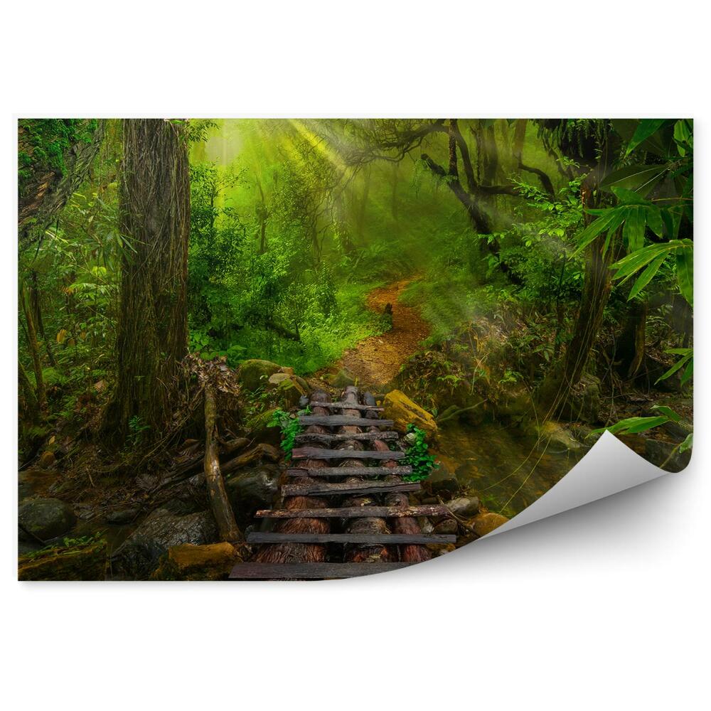 Fototapet Debarcader Din Lemn Din Jungla Tropicală Asiatică