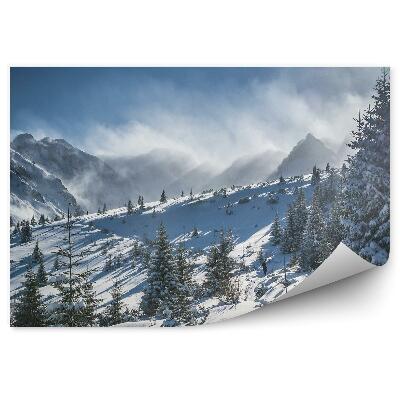 Decor fototapet Hala Gąnicowa Tatry Munți Zăpadă Conifere Soare