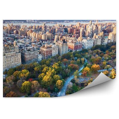 Fototapet vintage oraș arhitectura orașului copaci parc toamnă