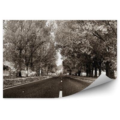 Fototapet pentru perete Drum spre mediul rural, copaci, vegetație