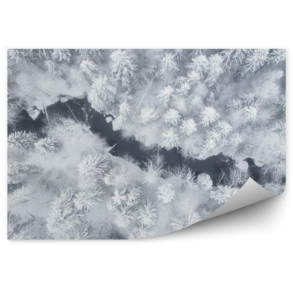 Fototapet Vedere De Iarnă La Pădure