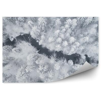 Fototapet Vedere De Iarnă La Pădure