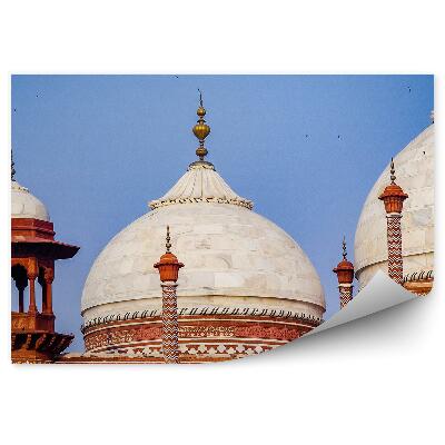 Fototapet perete Turnul dom al Taj Mahal India
