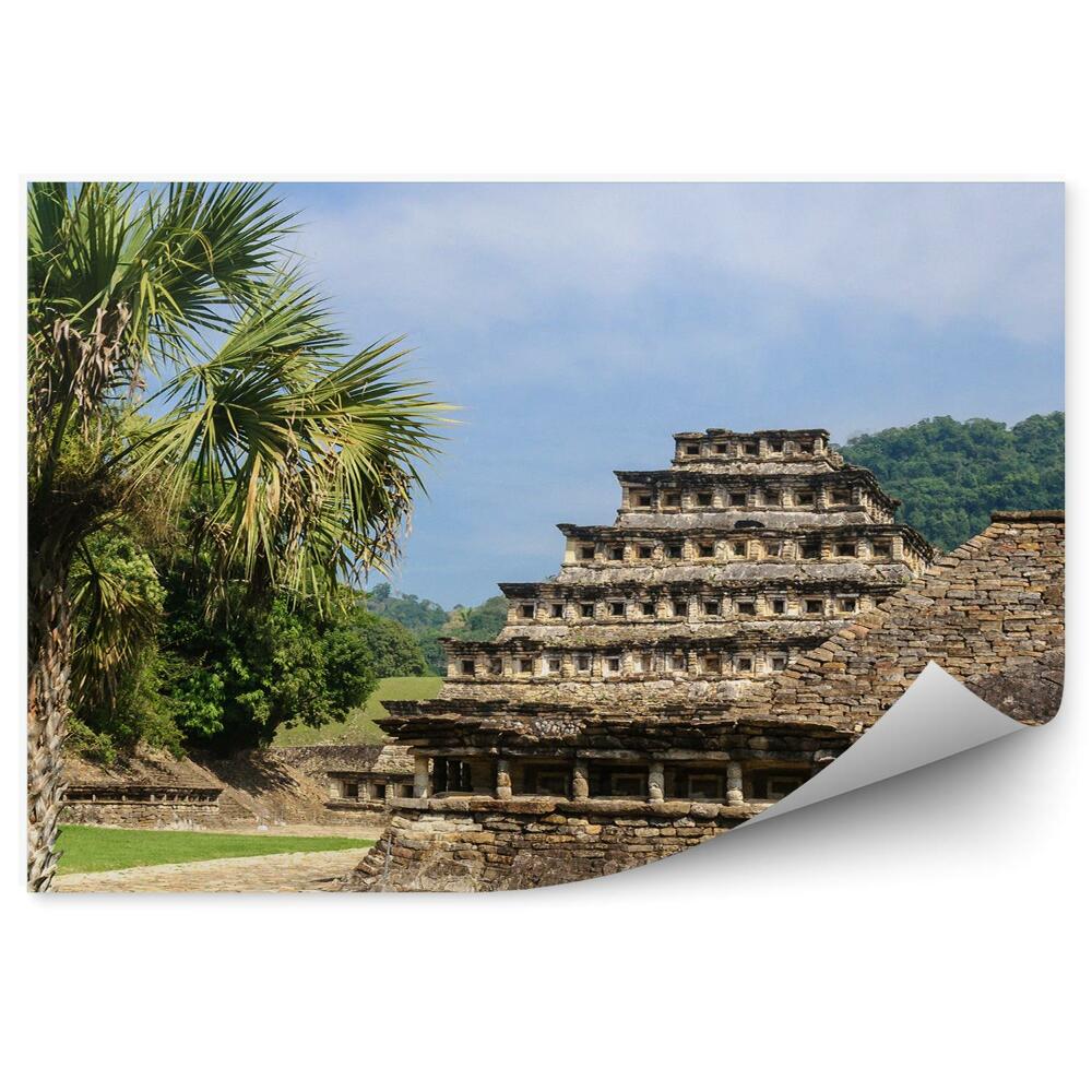 Fototapet perete Ruine arhitectura palmieri natura oras