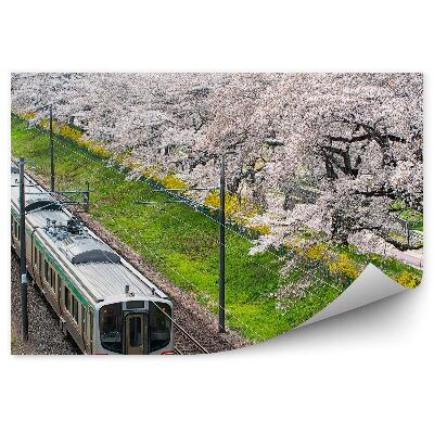 Fototapet vintage Căi de tren Japonia înfloriți de cireș natura
