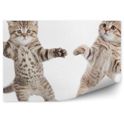 Fototapet vintage Doi Pisoi Mici Dansând Pe Fundal Alb