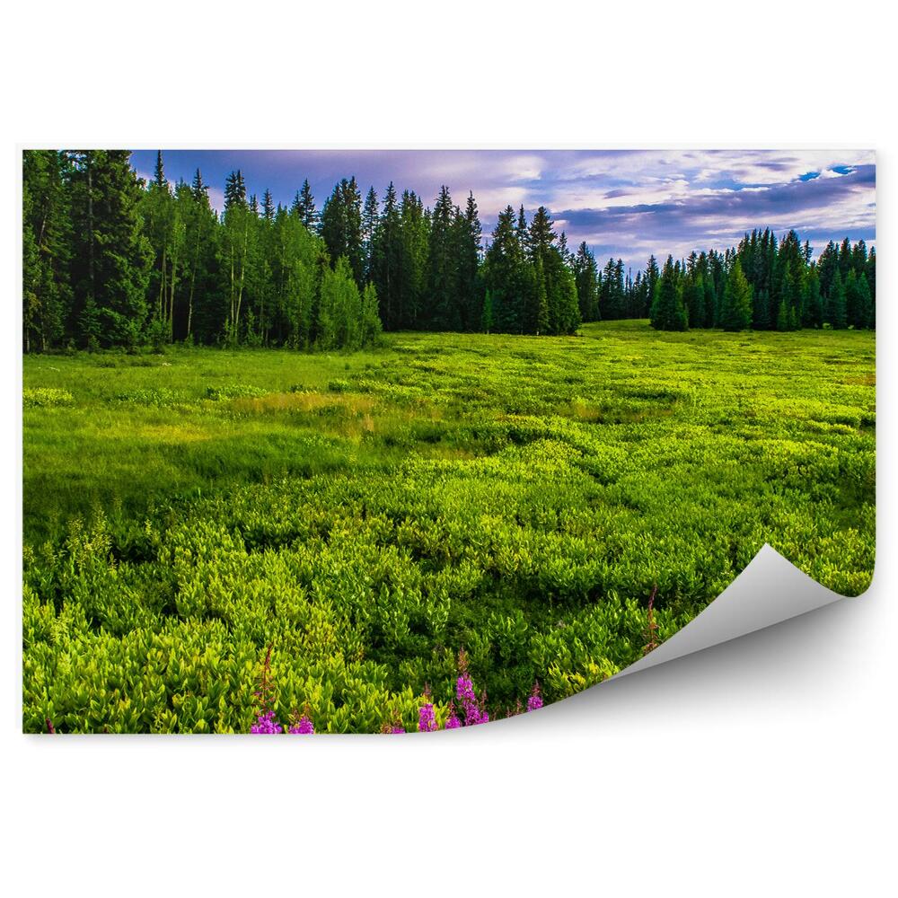 Fototapet vintage Poiana De Crăciun Cu Flori Colorate