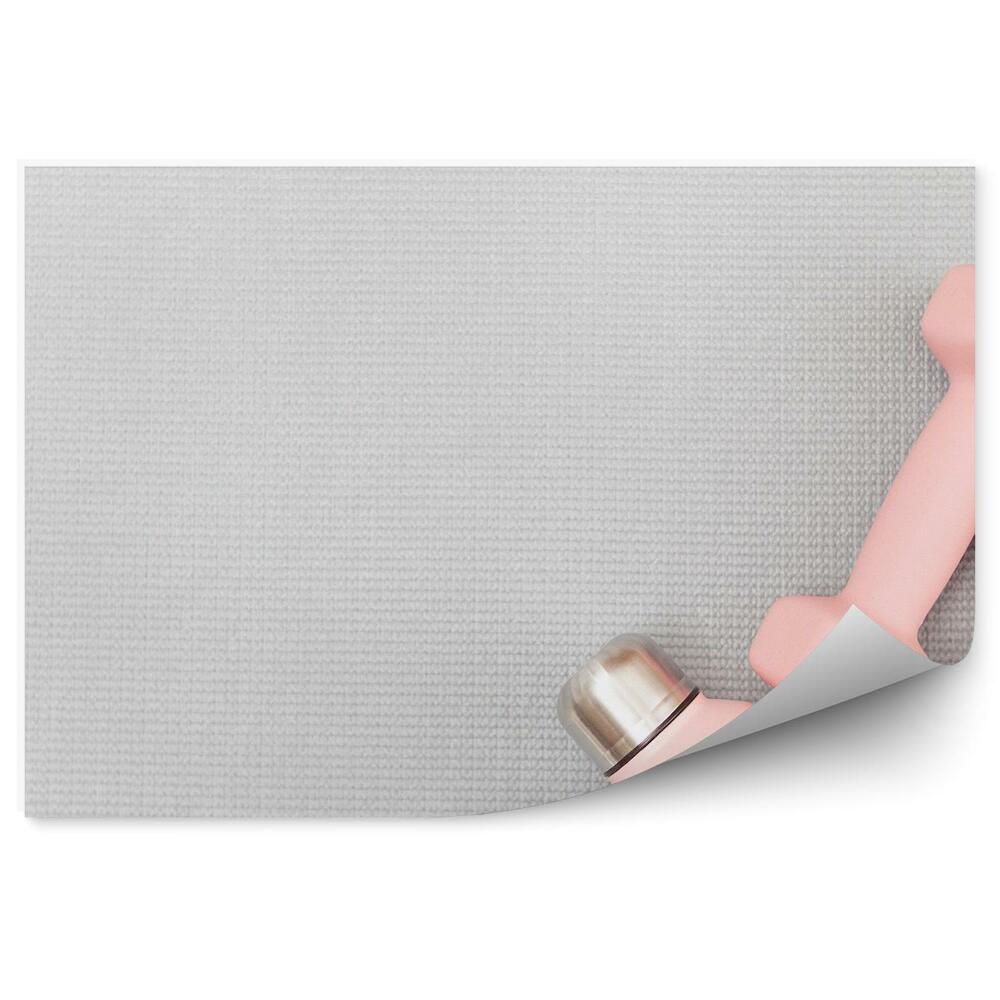 Fototapet vintage Haltere bidon sală de gimnastică