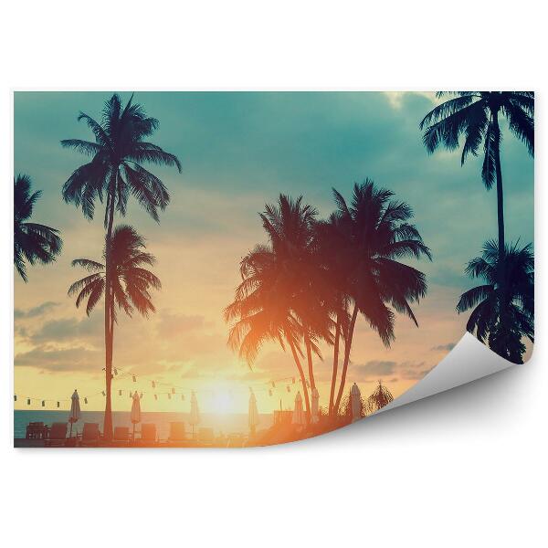 Fototapet perete Sunshine Tropical Beach Palmieri