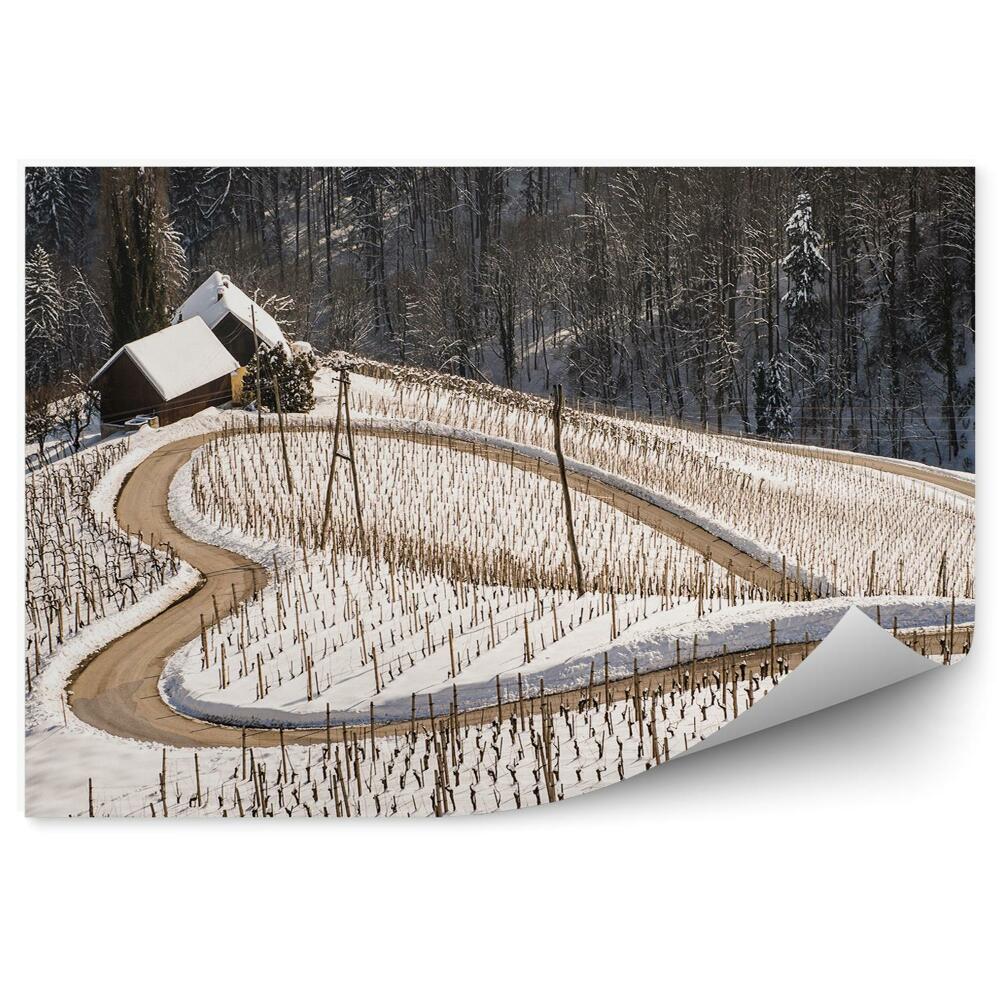 Fototapet Drum de zăpadă de iarnă în formă de inimă natura