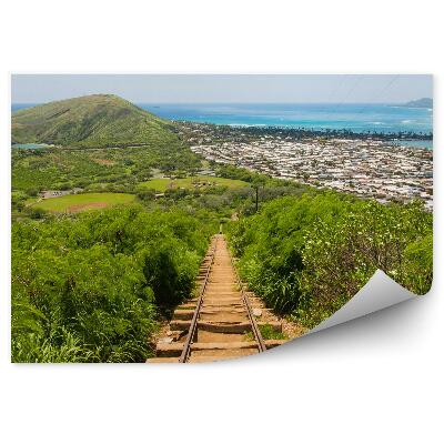 Decor fototapet Urme Munți Clădiri Ocean Natură Hawaii