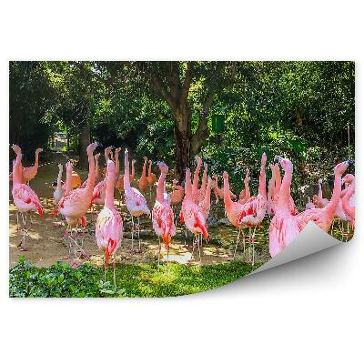 Fototapet vintage Flamingo Roz Copaci Plante Frunze De Palmier Frunze Exotice