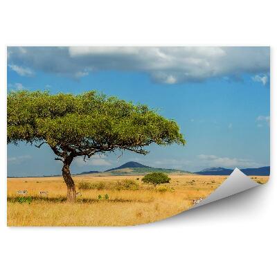 Fototapet Peisaj vederi natura copac zebra