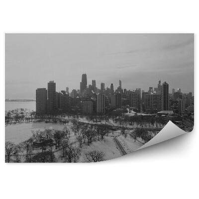 Fototapet Sepia Zgârie-Nori Mașini Copaci Drum Iarnă Zăpadă