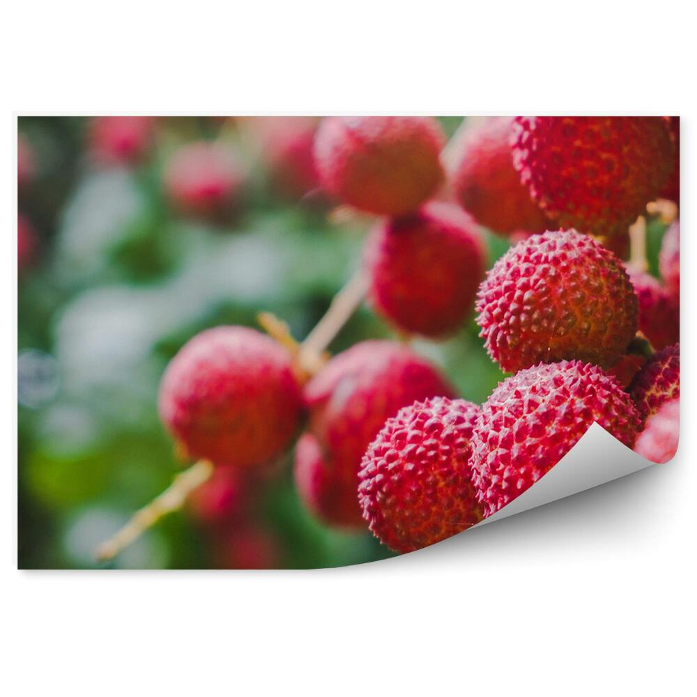 Fototapet vintage Frunze de pom fructifer de litchi roșu