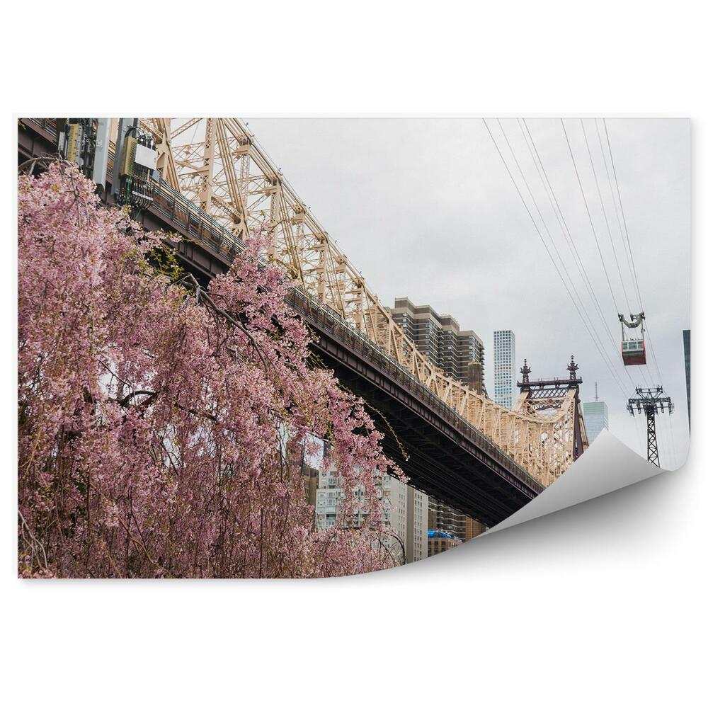 Fototapet pentru perete Floare De Cireș Brooklyn Bridge Zgârie-Nori Râu