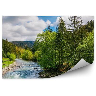 Fototapet Pomi Verzi De Pădure Pomi De Crăciun Râu