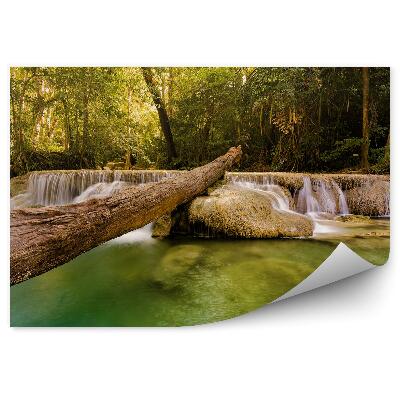 Decor fototapet Pădure Tropicală În Cascadă