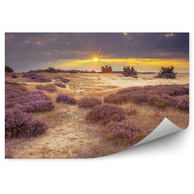 Fototapet vintage Heather câmp cer nori apus iarbă