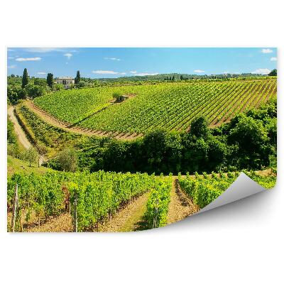 Decor fototapet Podgoria Toscana Cer Nori