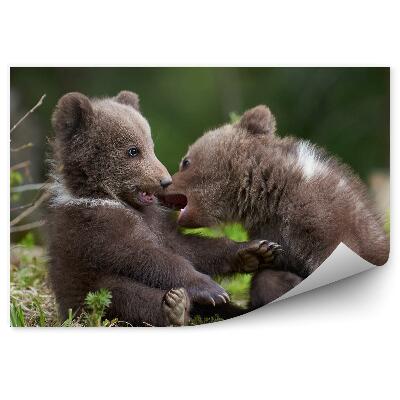 Fototapet pentru perete Pui De Urs În Pădure