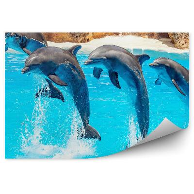 Fototapet vintage Acrobații Cu Delfini