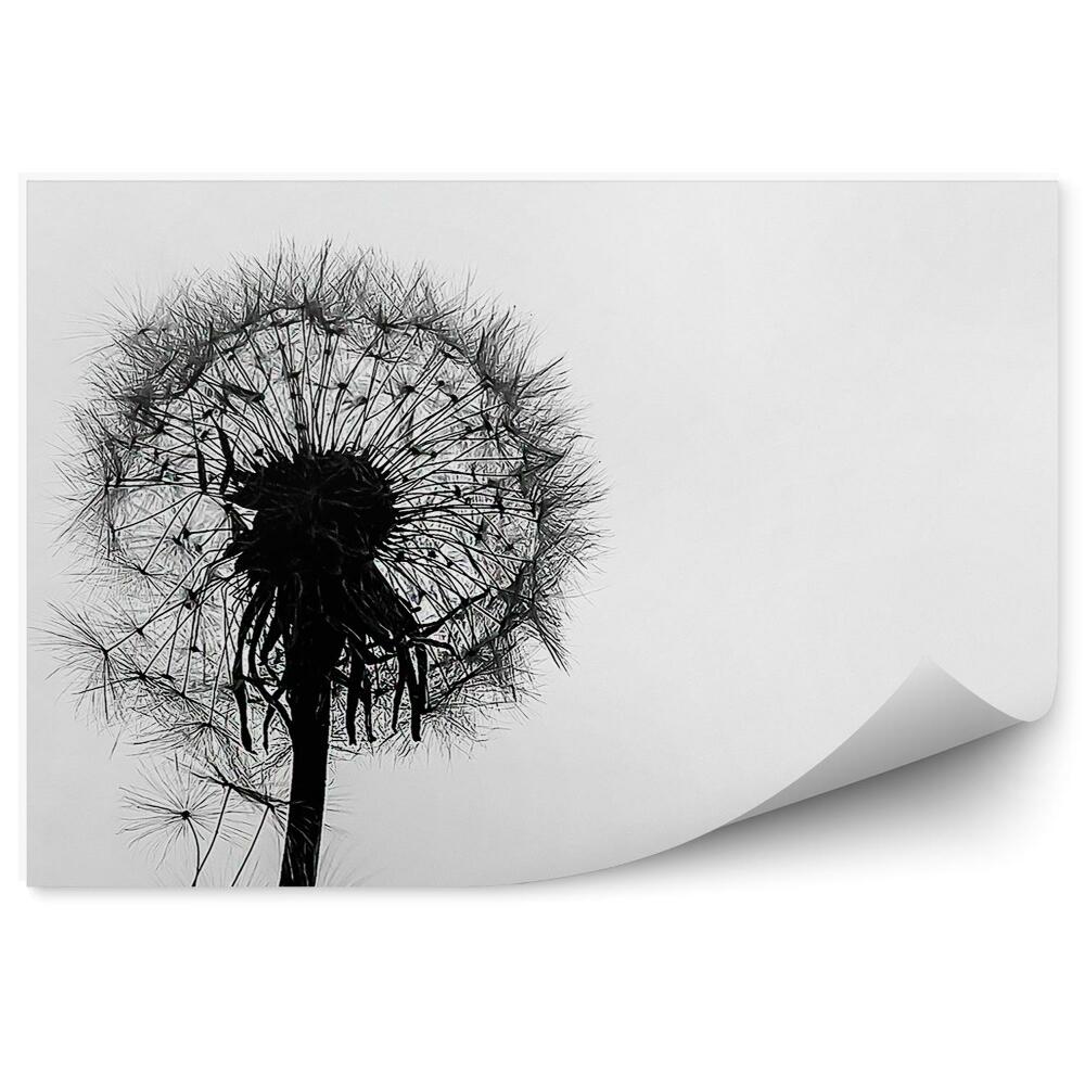 Fototapet vintage Picături de apă de păpădie