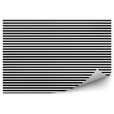 Fototapet perete Model Cu Dungi Orizontale Alb-Negru