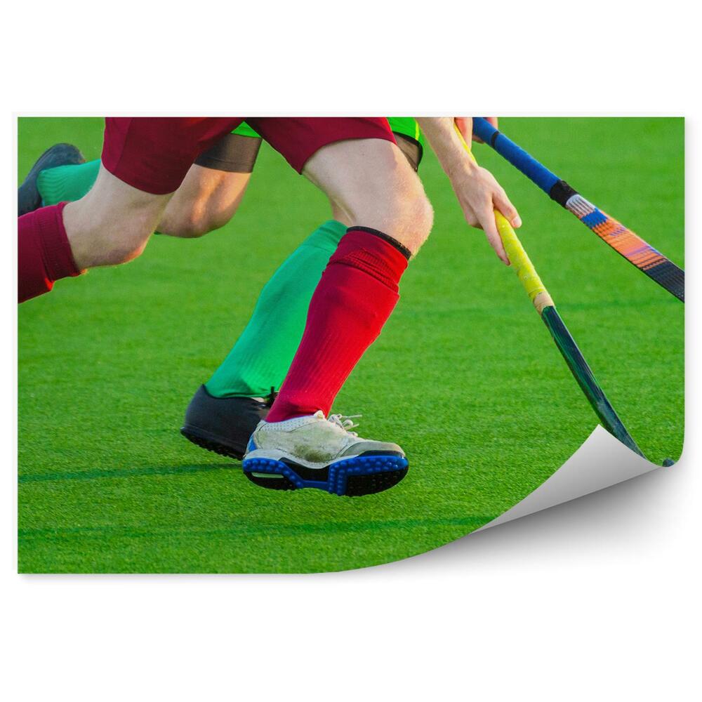 Fototapet pentru perete Teren de hochei