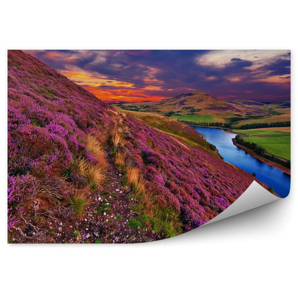 Decor fototapet Heath pe pantă, râu și apus