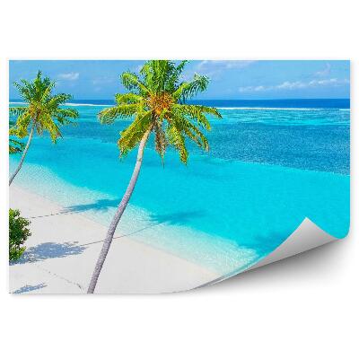 Decor fototapet Plaja Cu Nisip, Palmieri, Culori Intense