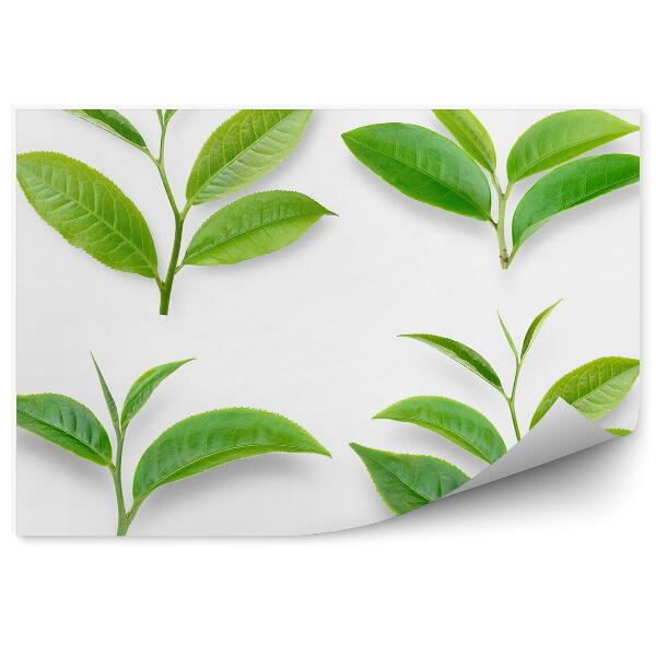 Fototapet vintage Frunze De Plante De Ceai Verde