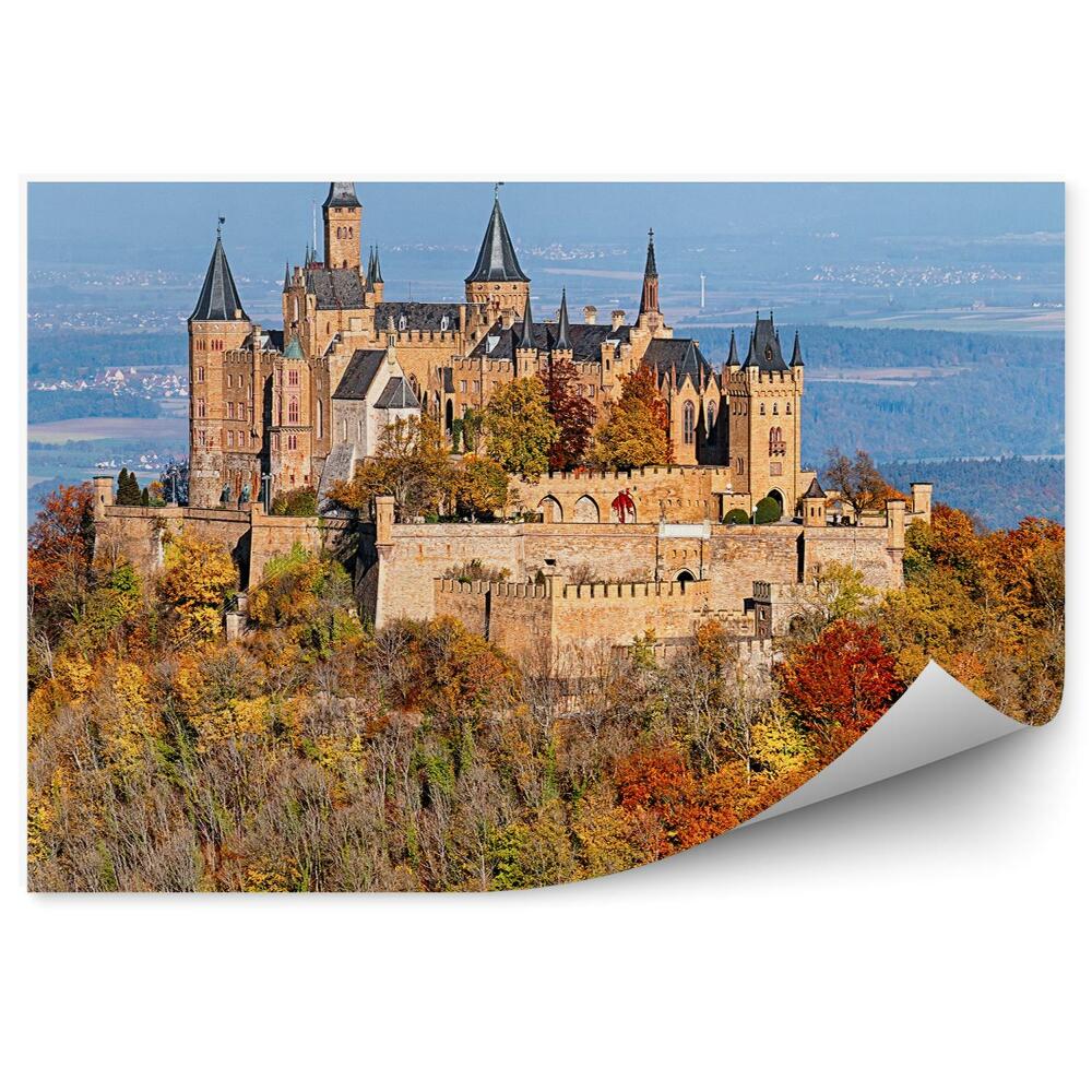 Fototapet pentru perete Castelul Hohenschwangau Alpii Bavari Conifere Munți