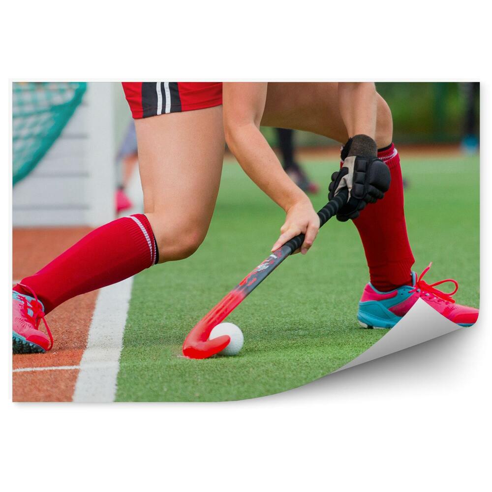 Fototapet Acțiune de hochei