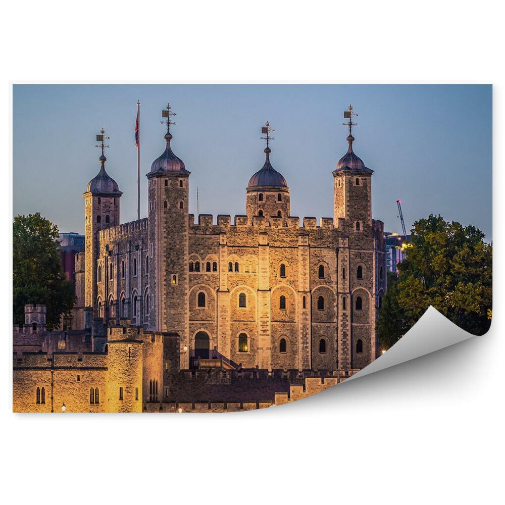 Fototapet Cetate Turnul Copaci Râul De Lumină Londra