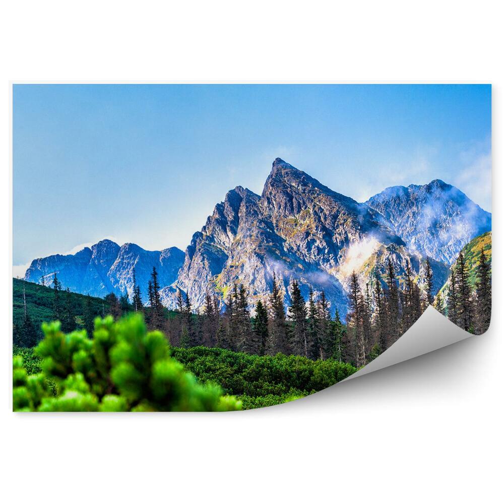 Fototapet Munții Tatra Conifere Munți Cer Nori Natura