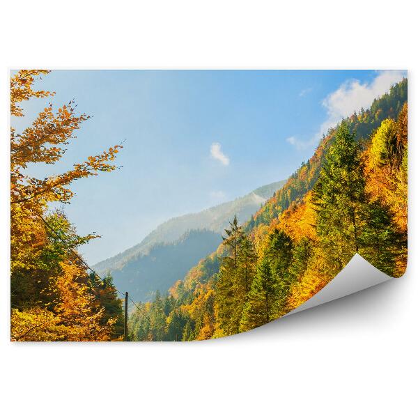 Fototapet Toamna Munti Alpi Copaci Plante Drum Cer Nori