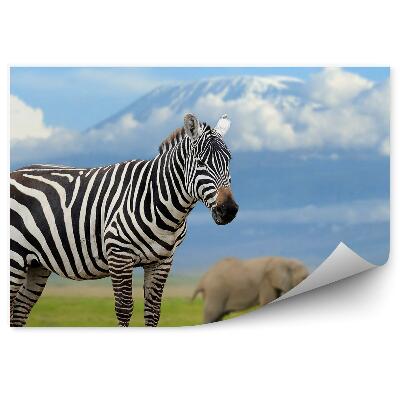 Fototapet Zebre Și Elefanți Pe Fundalul Kilimanjaro