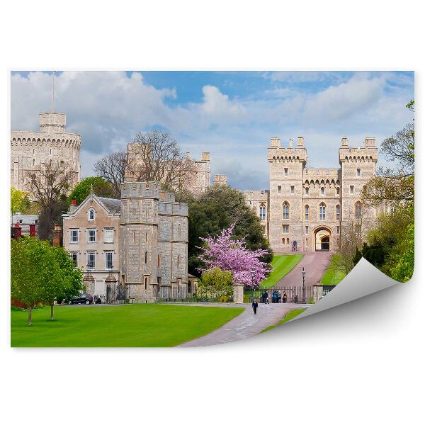 Fototapet perete Castelul Windsor Iarbă Copaci Cer Nori Londra