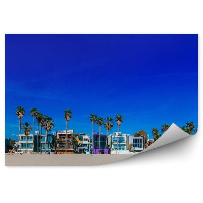 Fototapet perete Veneția plajă palmieri oraș case nisip