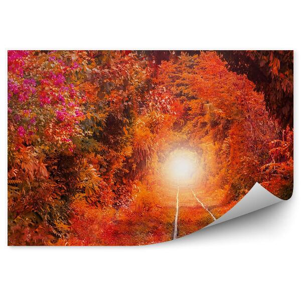 Decor fototapet Lumina Traseului Copacilor De Toamnă