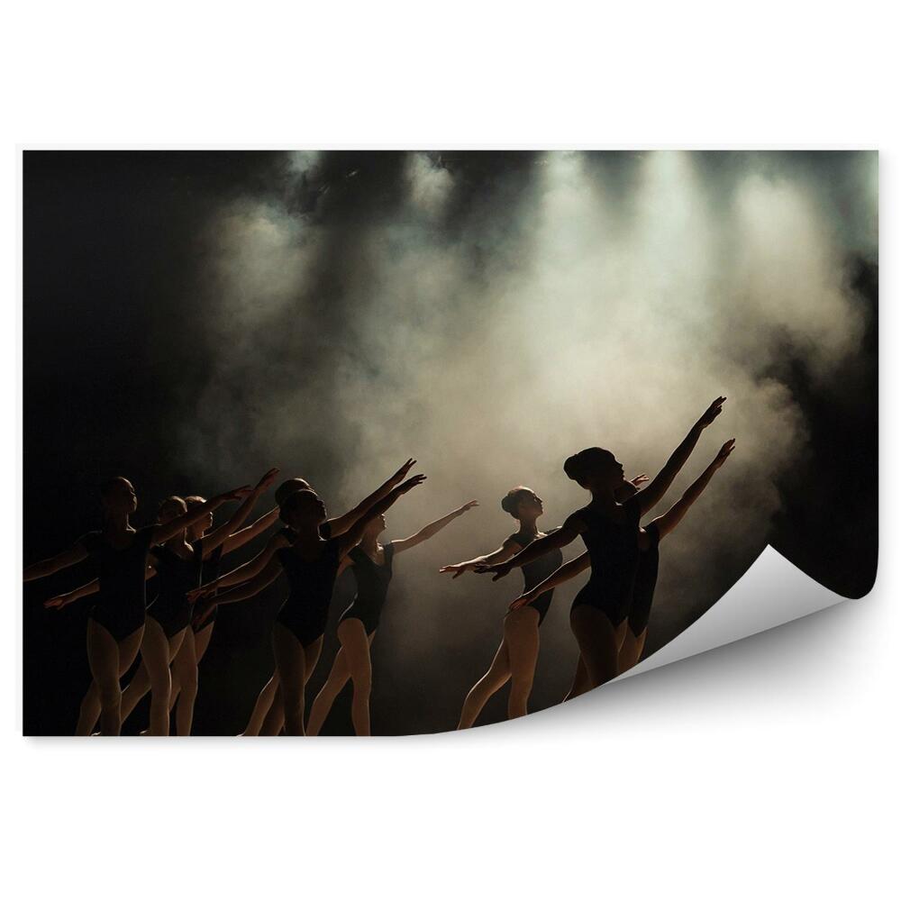 Decor fototapet Clasa de balet pe scenă ceață