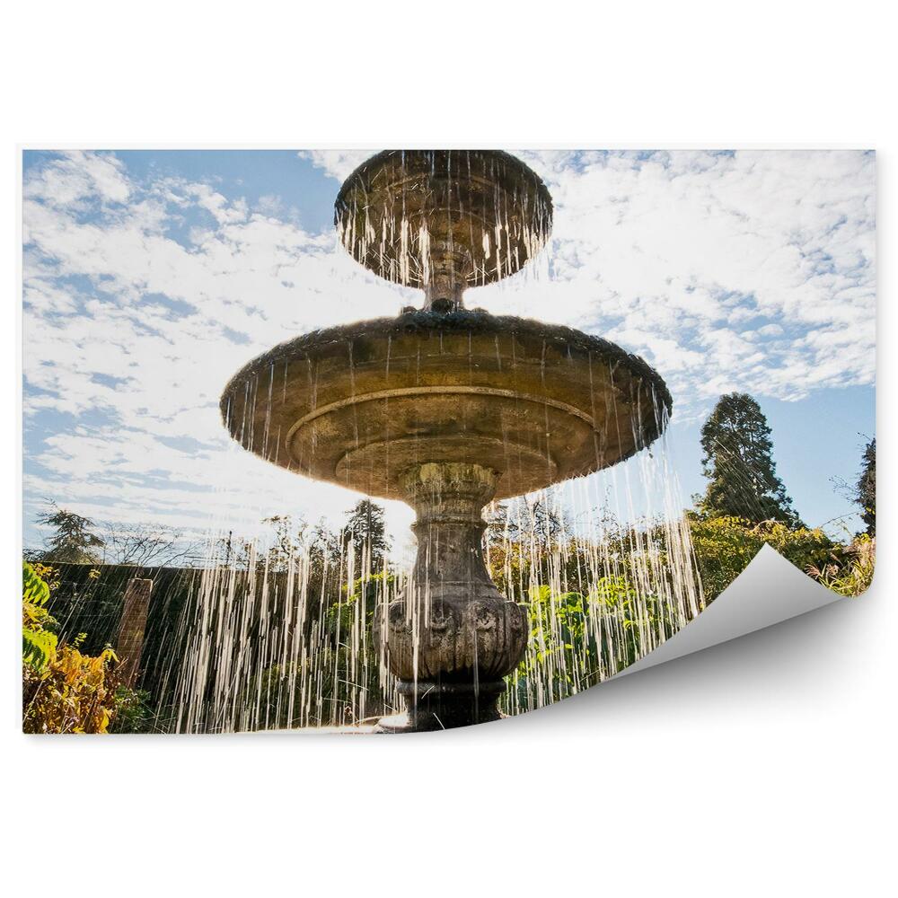 Fototapet pentru perete Fântână Grădină Apă Vegetație